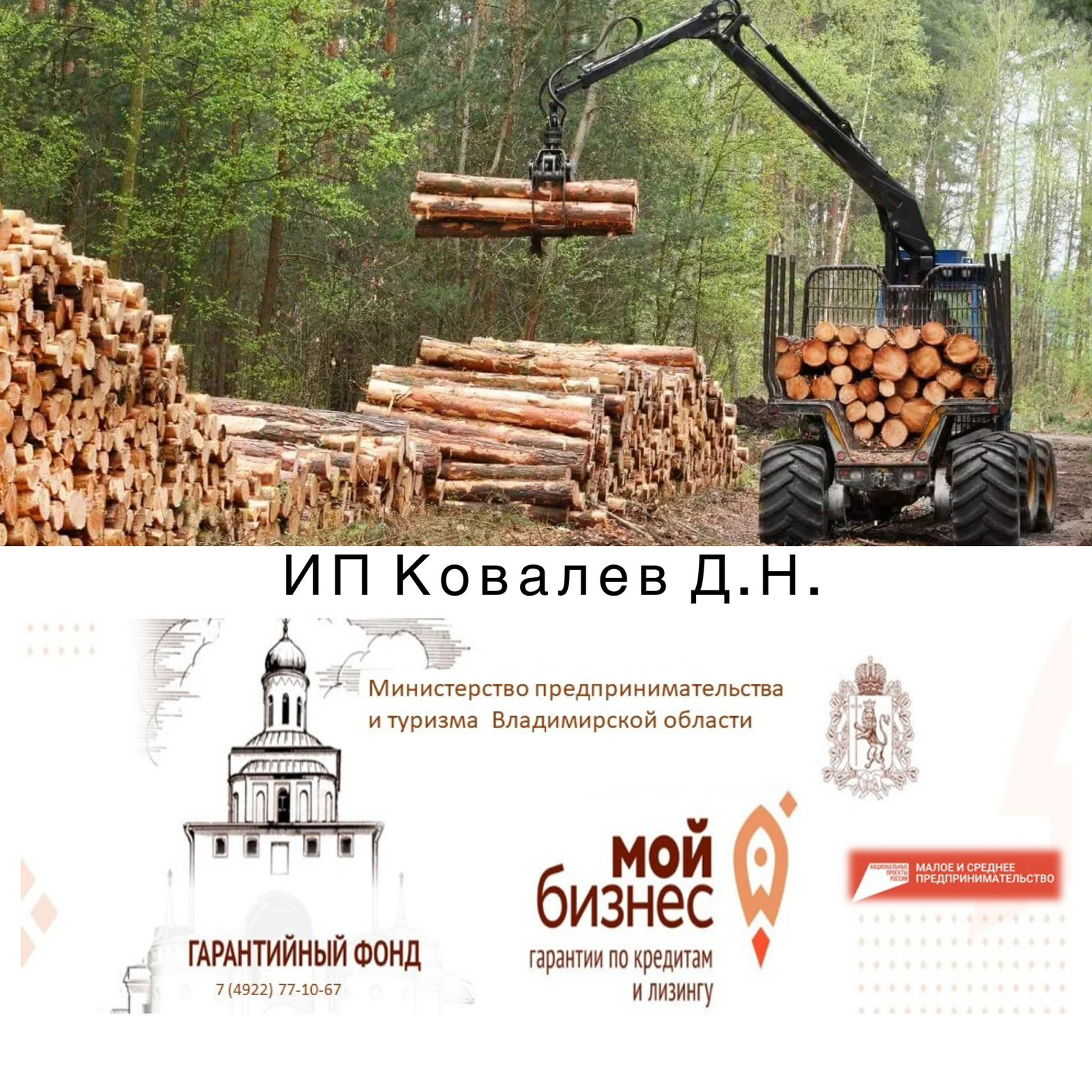 Бизнес в сфере лесозаготовки получил поддержку